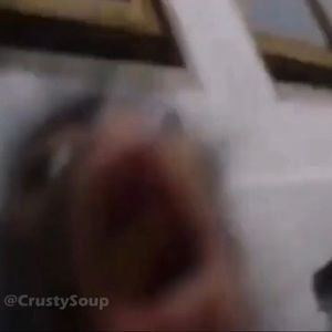 Meet your Posher, Danny